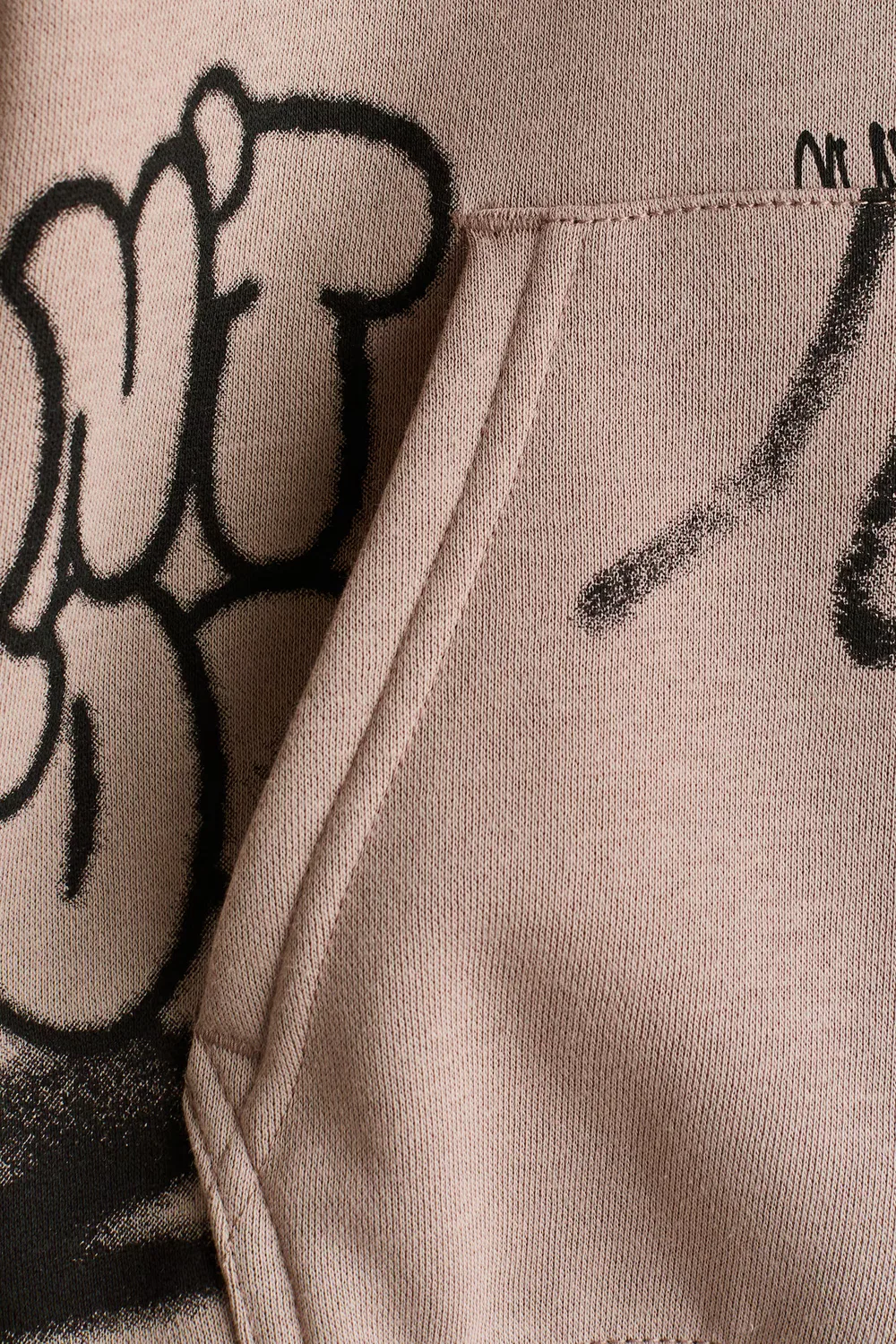 Худи с принтом и внутренней подкладкой из ворса H&M, Beige/Skate — фото 2