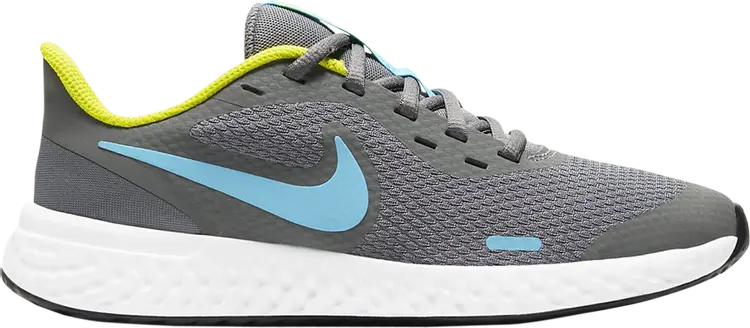 

Кроссовки Nike Revolution 5 GS 'Smoke Grey Chlorine Blue', серый