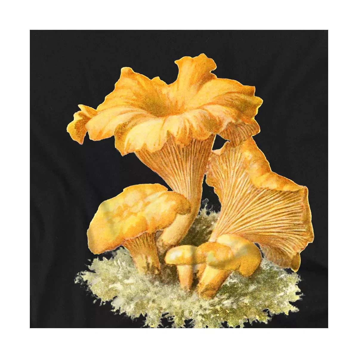 Детская футболка с принтом Chanterelles LOGOVISION, Black — фото 3