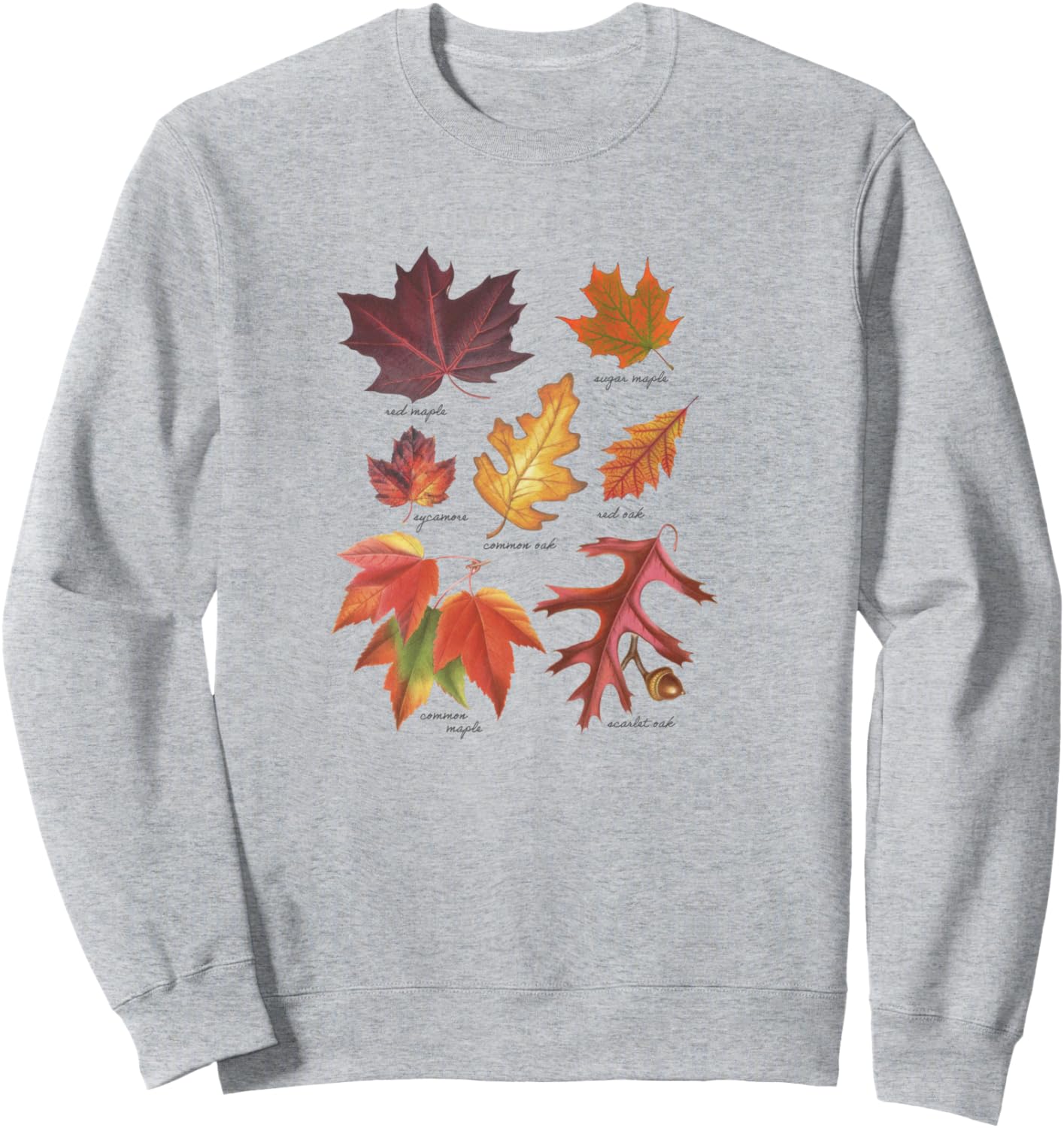 

Таблица для определения листвы Case Foliage. Толстовка, серая, размер S Trendy Apparel, Серый, Таблица для определения листвы Case Foliage. Толстовка, серая, размер S Trendy Apparel