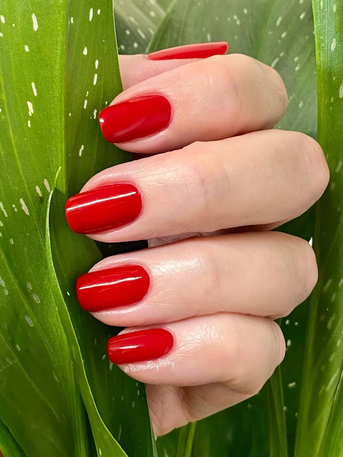 Лак для ногтей Passion Red Earthy Nail Polish