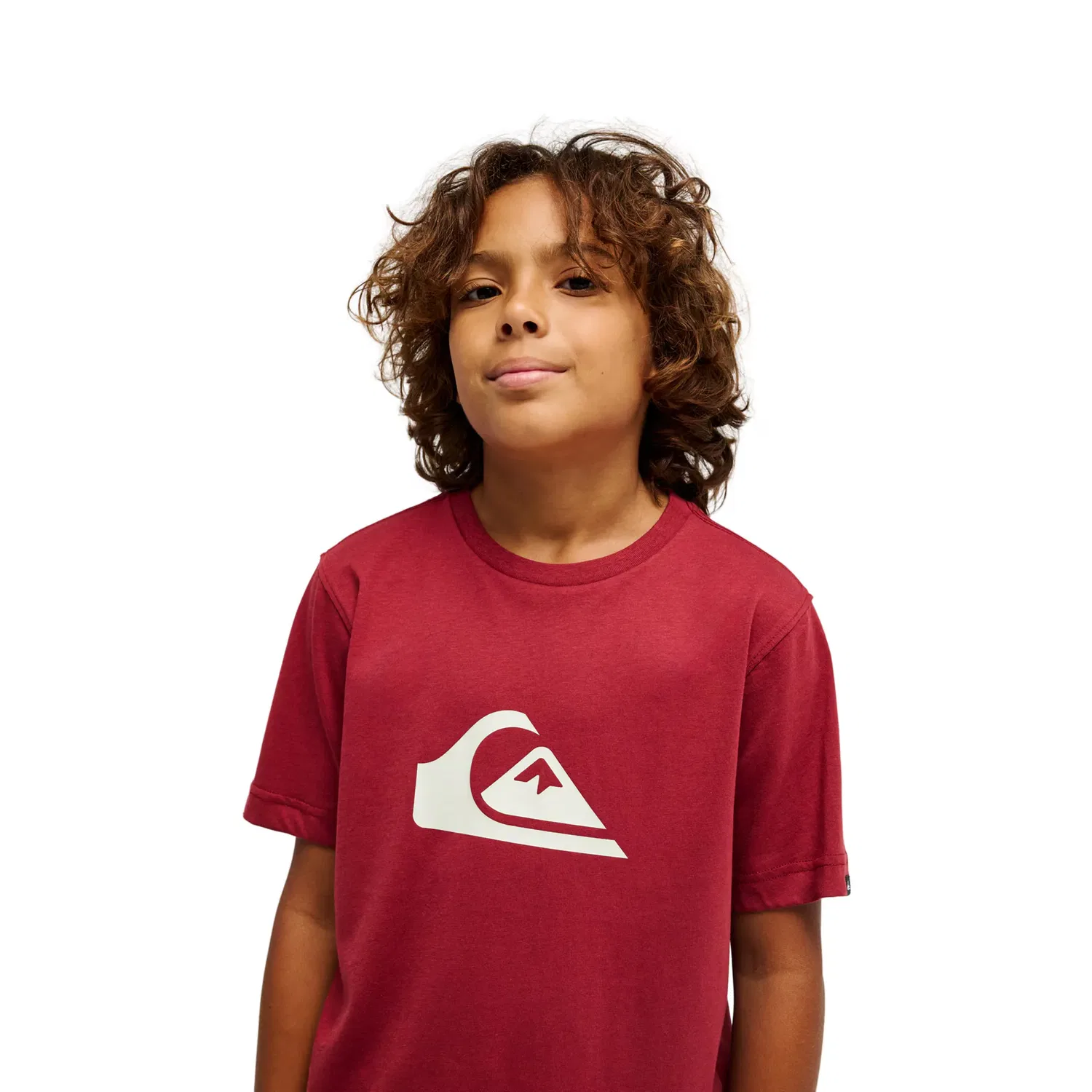 Детская футболка для мальчиков с принтом Ev Comp Logo Quiksilver, Rojo — фото 4