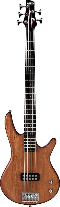 

Бас-гитара Ibanez Gio GSR105EX, масло из красного дерева