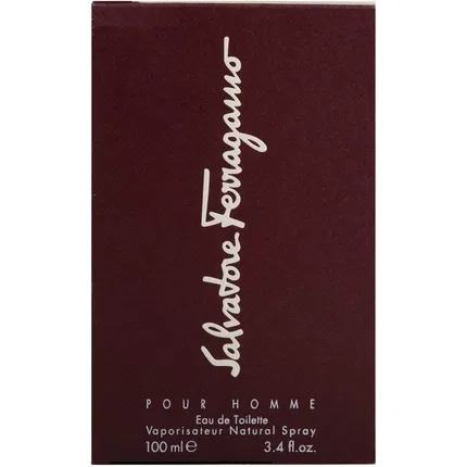 Парфюмерная вода Salvatore Ferragamo for Men, 100 мл