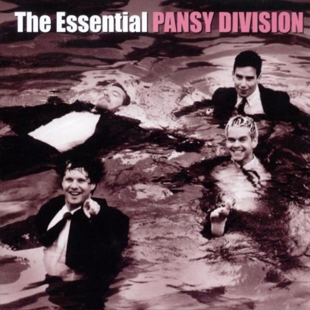 

Диск CD Essential Pansy Division - Pansy Division