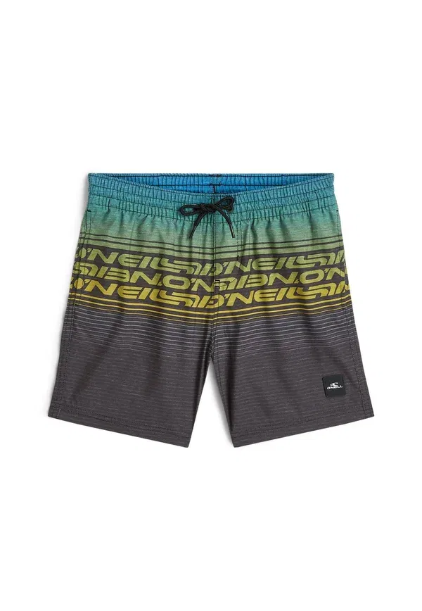 Плавки O'Neill Logo Stripe Swimming Shorts, синий