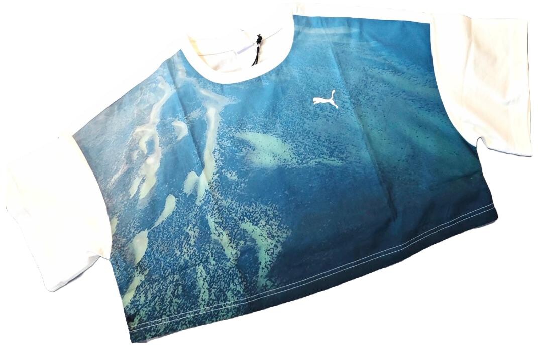 

Футболка унисекс Haiyang Blue Puma, цвет Haiyang Blue