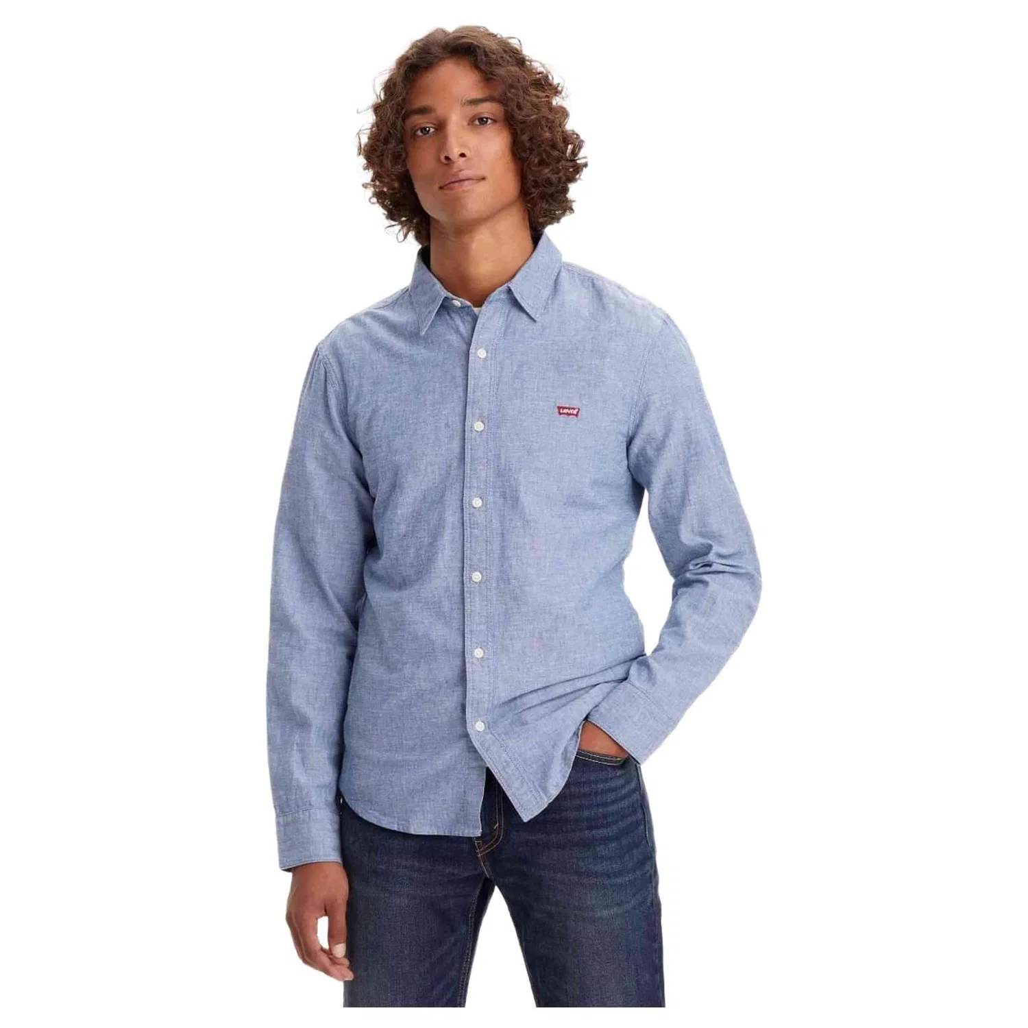 Мужская рубашка Levi's 86625-0017, цвет Blau