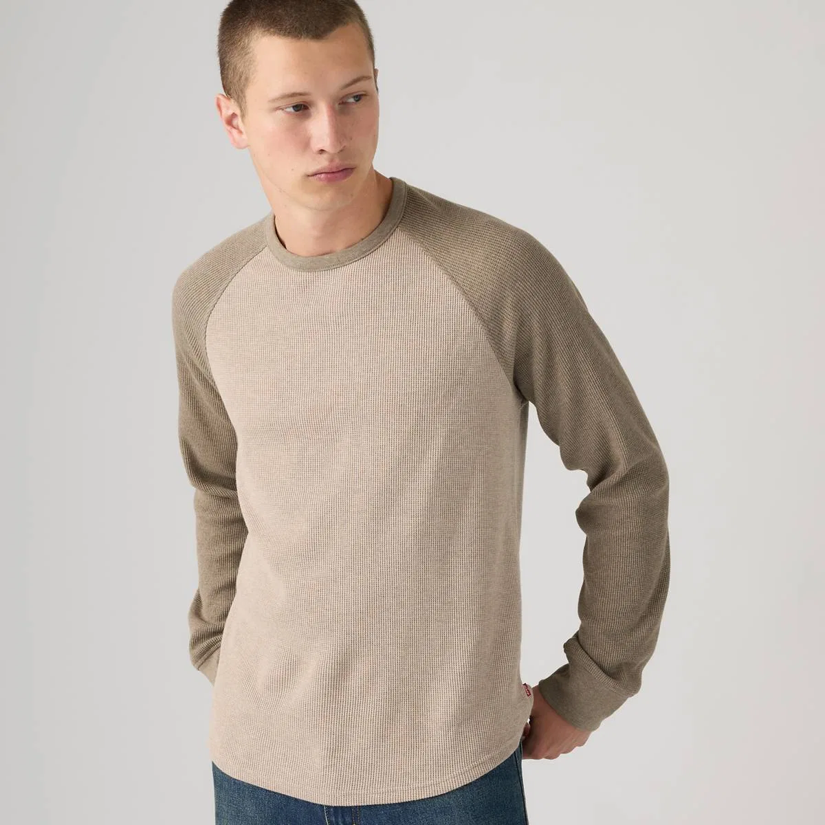 Термофутболка с длинными рукавами и рукавами реглан Levi's, Raglan Block Brindle Heather - Multi-Color