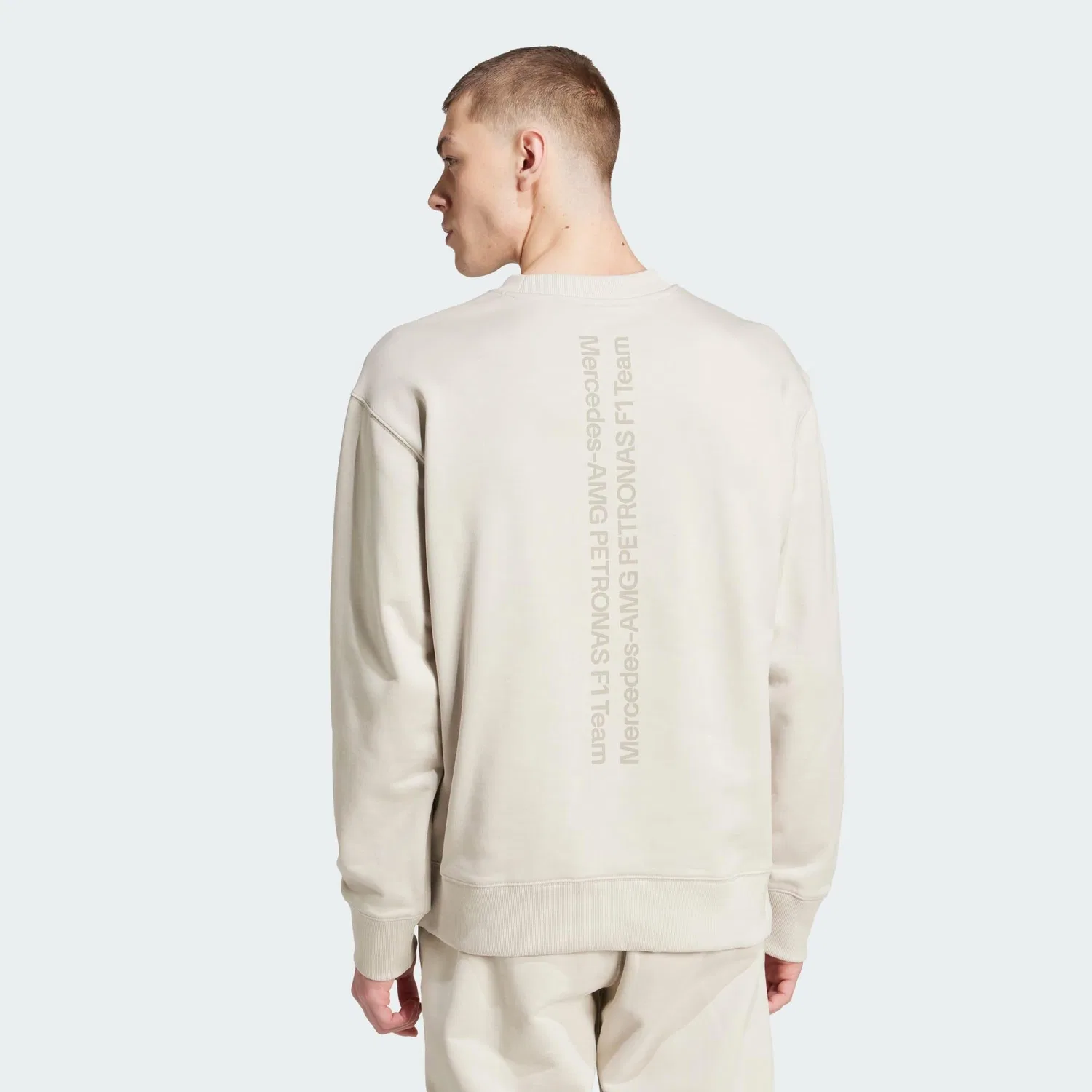 Мужской свитшот с длинным рукавом MERCEDES-AMG PETRONAS FORMULA ONE TEAM PREMIUM SWEATSHIRT Adidas, Beige — фото 3