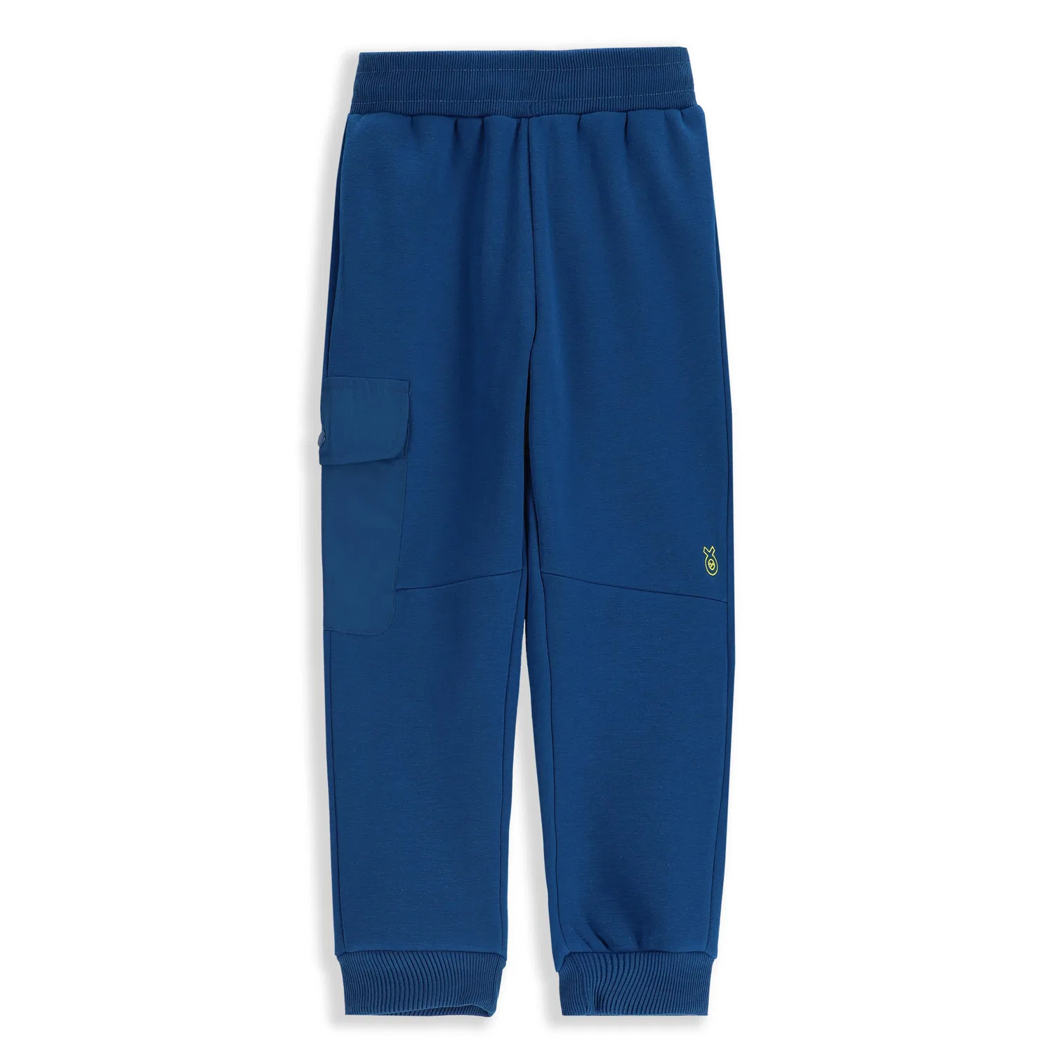 Детские утепленные спортивные штаны ZL5 Lemon Explore, Dunkelblau