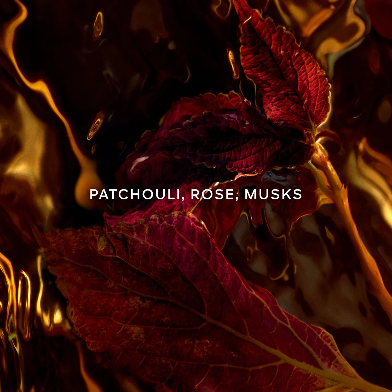 Парфюмерная вода Patchouli Ardent, 125 мл, GUERLAIN — фото 2