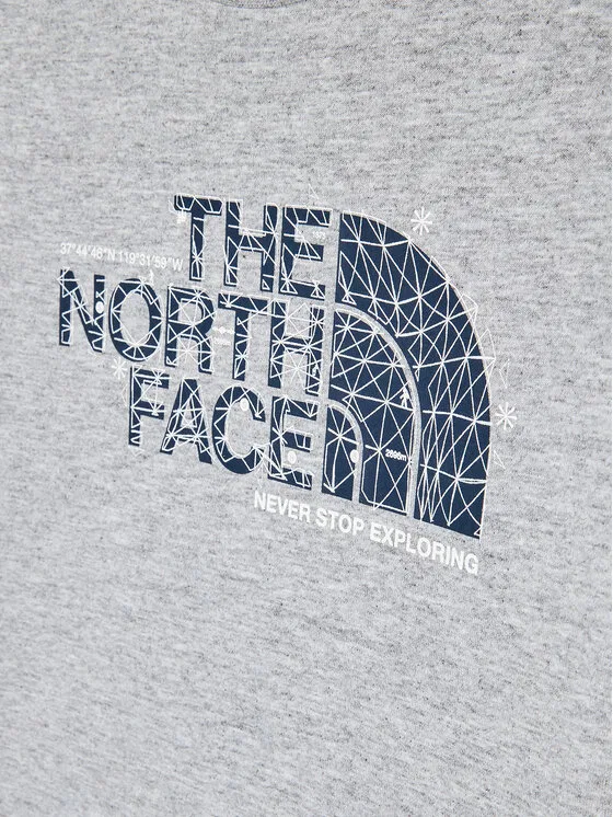 Футболка regular fit Graphic The North Face, серый — фото 3