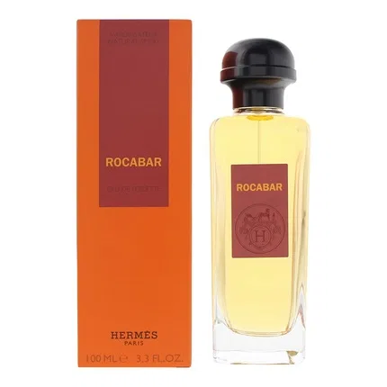 Мужская туалетная вода объемом 100 мл Rocabar Hermes