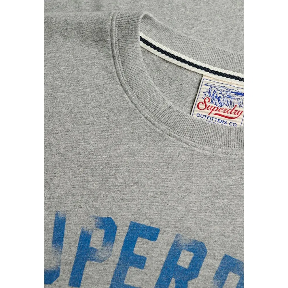 Мужская футболка свободного кроя Wild Frontier Superdry, Grey — фото 4