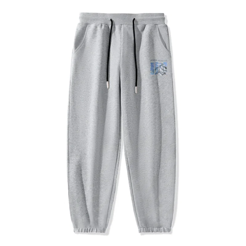 Детские спортивные штаны с манжетами MINISO, Gray Frozen Snow Mountain Pants Logo
