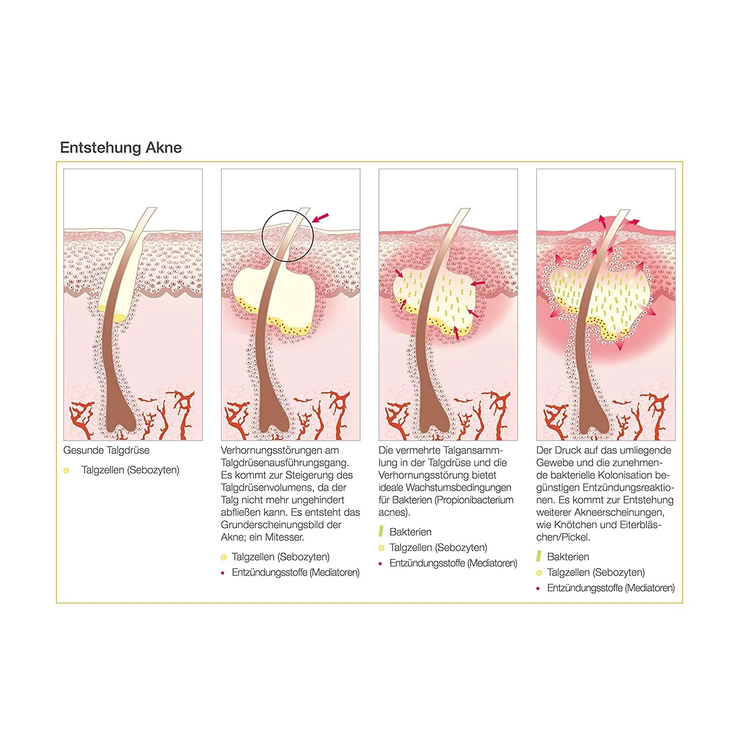 Матирующий увлажняющий гель-крем «Clarify Skin» от AESTHETICO, 5 x 50 мл Aesthetico — фото 3