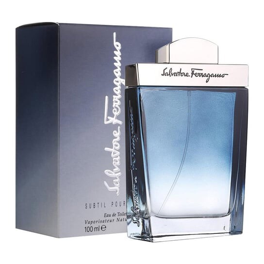 Туалетная вода, 100 мл Salvatore Ferragamo, Subtil pour Homme — фото 2