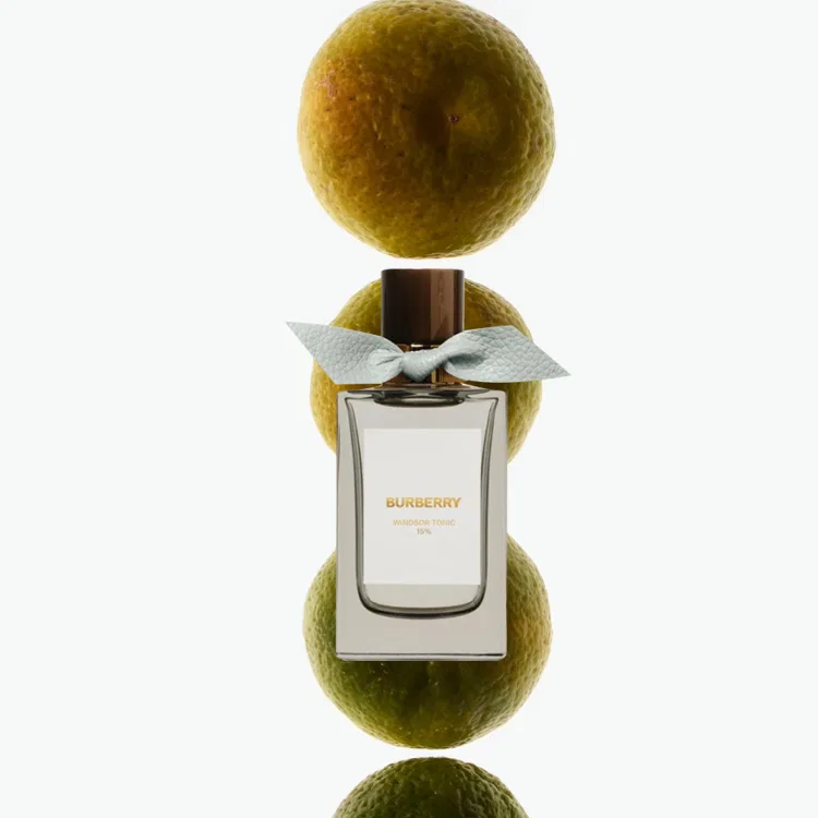 Парфюмерная вода Wander Windsor Knight Limited 100 мл, Burberry — фото 3