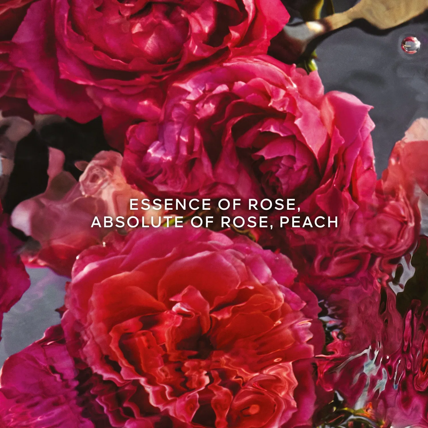 Парфюмерная вода-рефилл Aqua Allegoria Forte Rosa Rossa GUERLAIN, 200 мл — фото 2