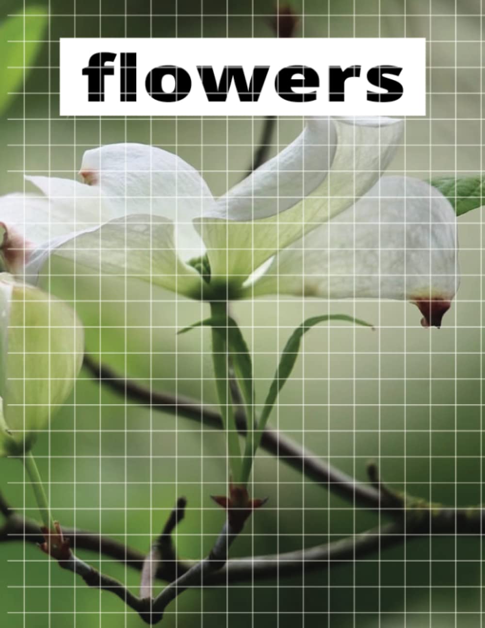 

best book for writing, coloring, drawing and doing school and office work ( mejor libro para escribir, colorear, dibujar y hacer trabajos de la escuela y la oficina.) (Independently published)