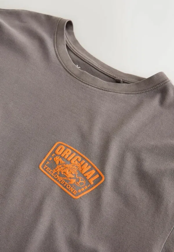 Футболка с принтом Yellowstone Graphic Print T-shirt Next, brown, коричневый — фото 3