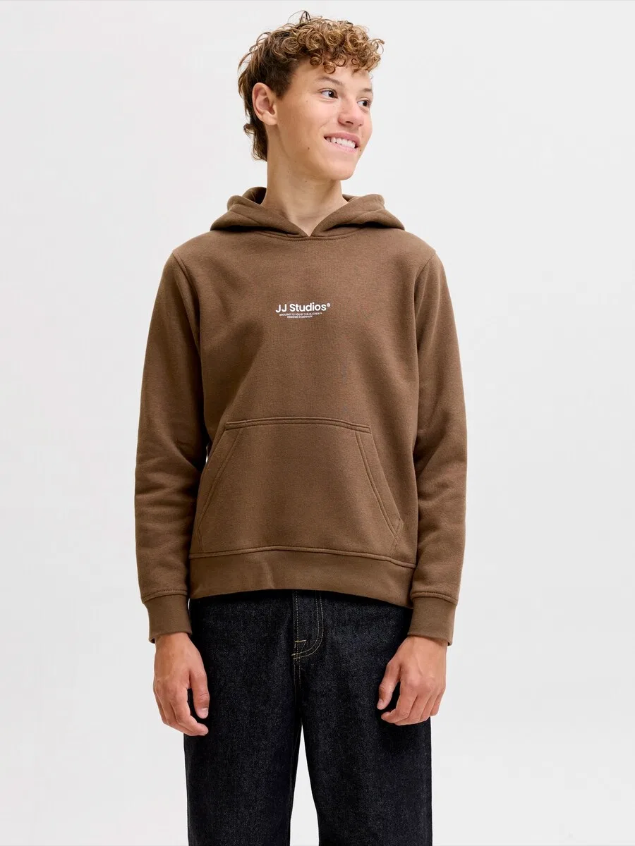 Детская толстовка Jack & Jones Junior 'JJESoho', цвет pueblo