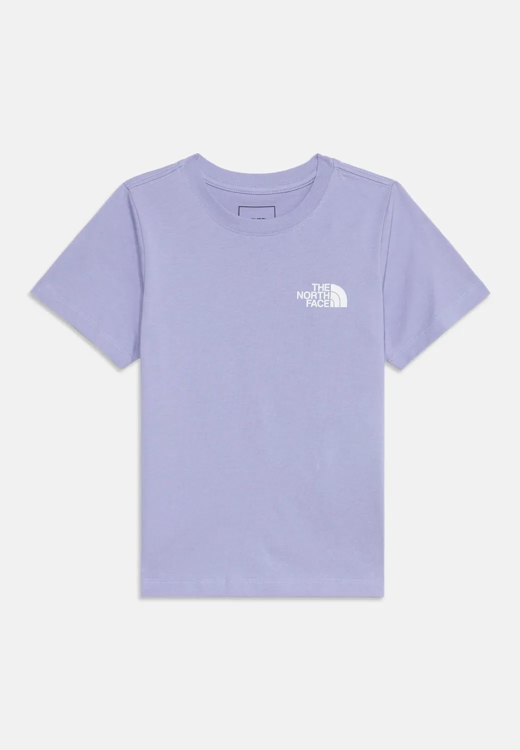 Футболка унисекс с принтом Teen evolution box The North Face, Pale Plum