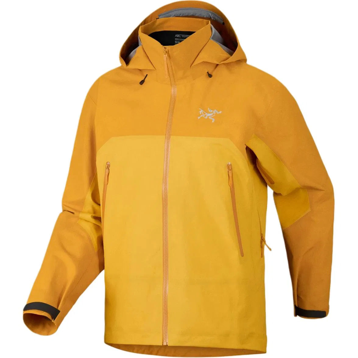 Мужская куртка с капюшоном Beta AR Arcteryx, Black — фото 4