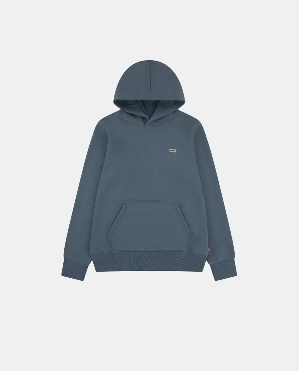 Детская худи для мальчиков с принтом Mini Batwing Levi's, Gris