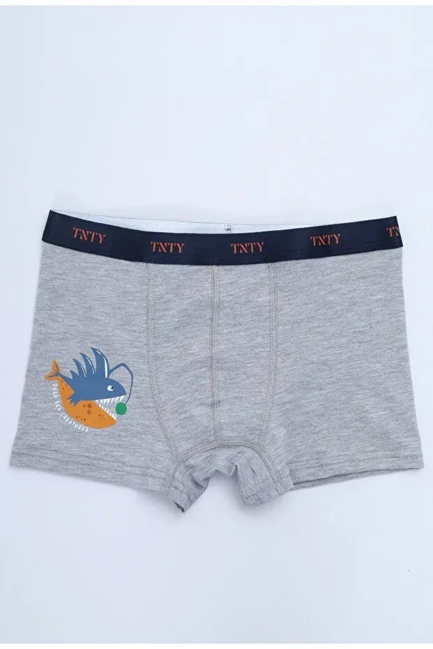 Детские боксеры для мальчиков с принтом 4 шт Toontoy, Navy Blue-Light Blue-Gray-Ecru — фото 3