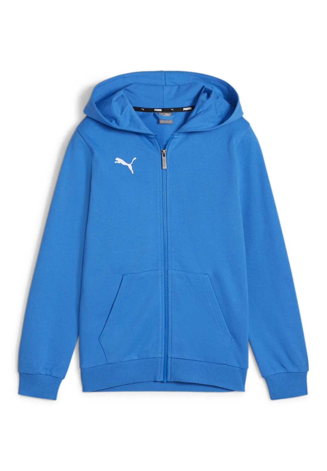 Детское хлопковое худи teamGOAL Casuals Hooded Jacket Jr Puma, Konigsblau
