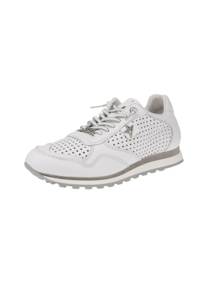 

Низкие кроссовки Cetti low C 848 EXP, белый