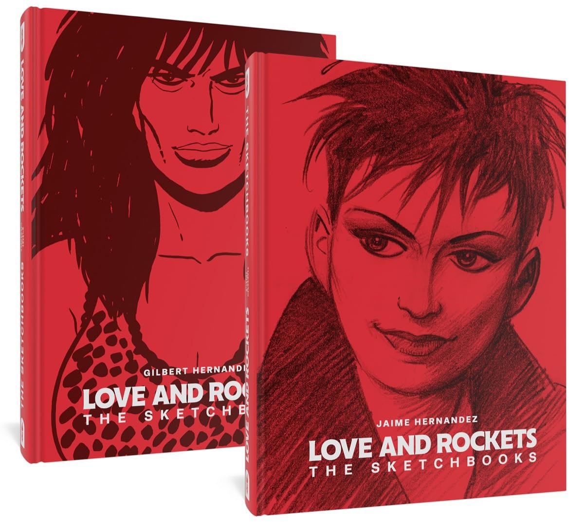 

Love and Rockets: The Sketchbooks (Fantagraphics)