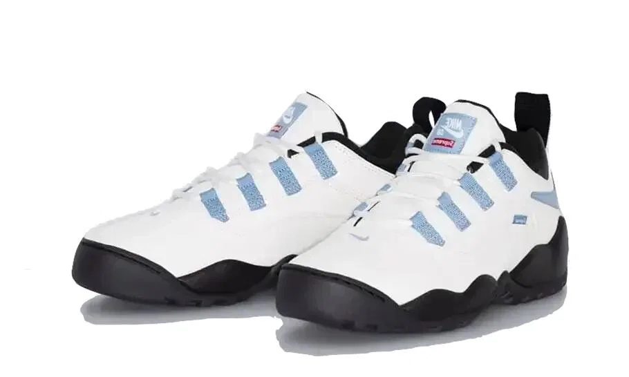 Детские кроссовки для скейтбординга с низким профилем SB Darwin Low Supreme Sail Nike, Schwarz — фото 2
