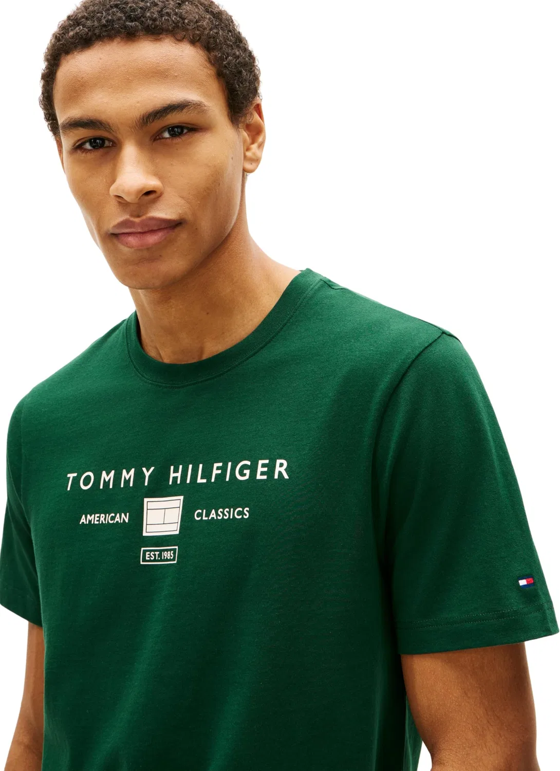 Мужская футболка с принтом Art Tommy Hilfiger, Green (Nocturnal Green) — фото 4