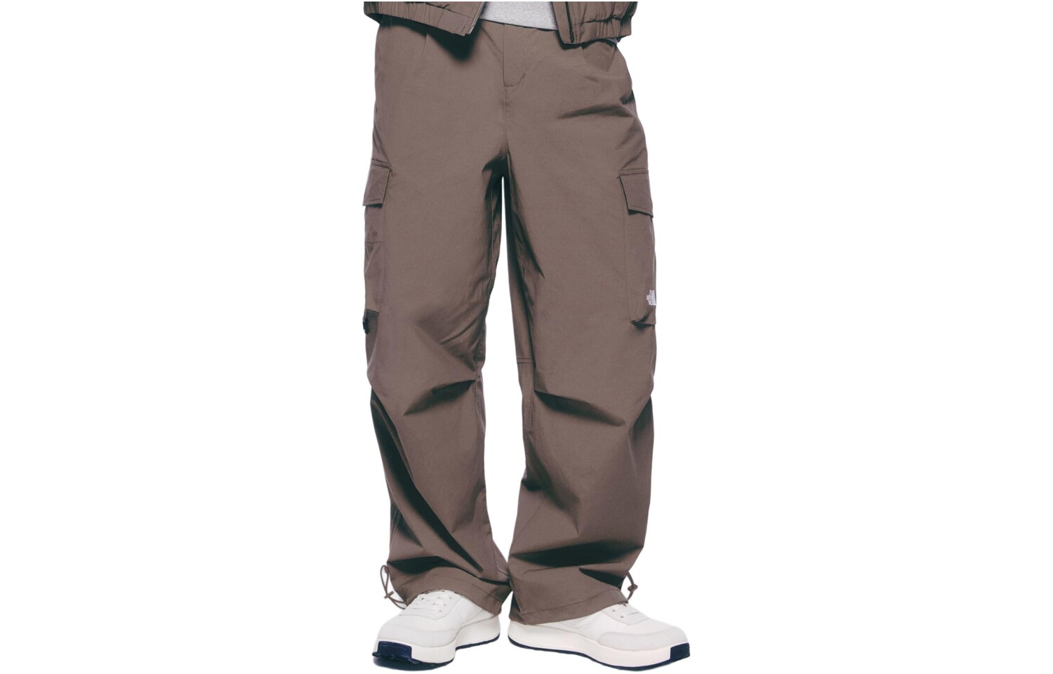 

THE NORTH FACE Мужские брюки-карго, цвет Brown