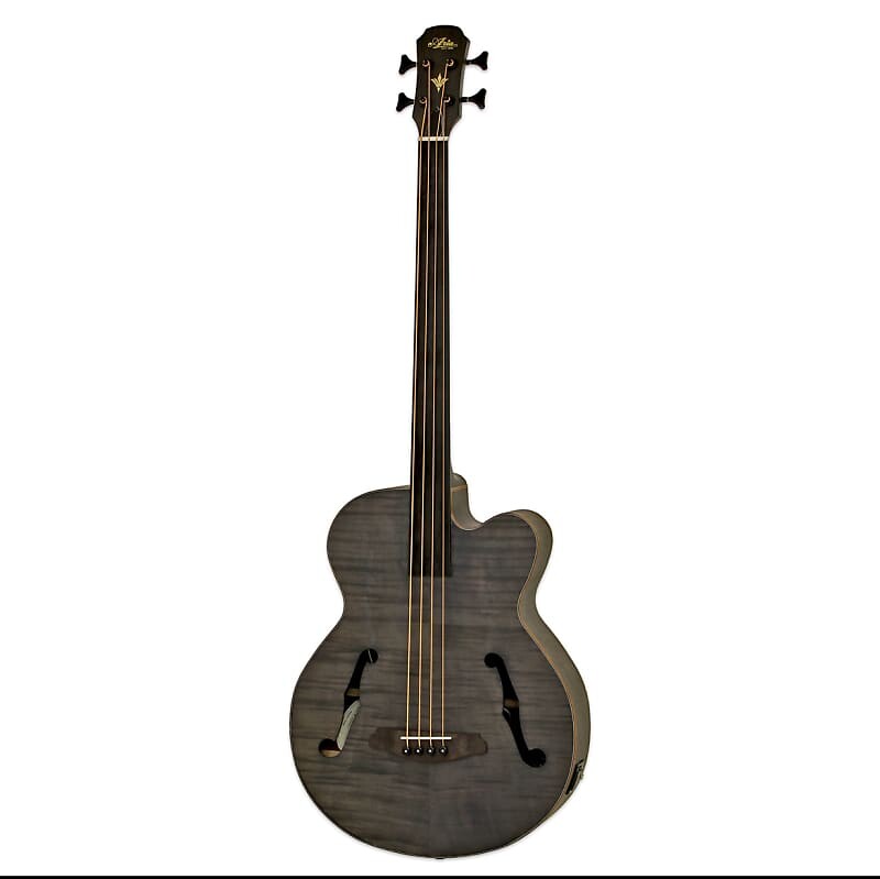 

Басс гитара Aria Hollow body fretless bass 2023 - Transparent Black Stain