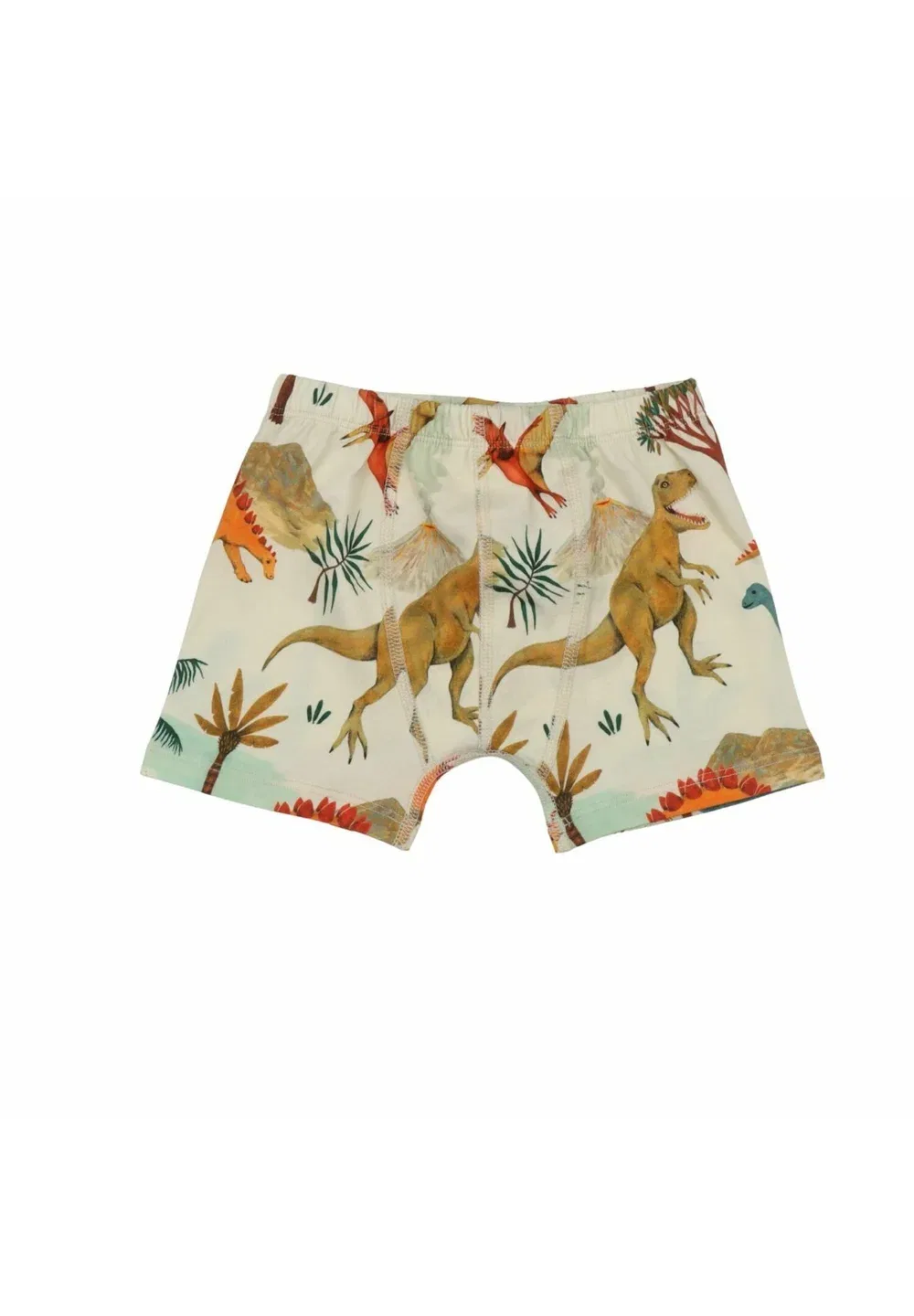 Набор из 2 боксерских трусов Dinasaur World - Boxer Walkiddy, Brown — фото 2