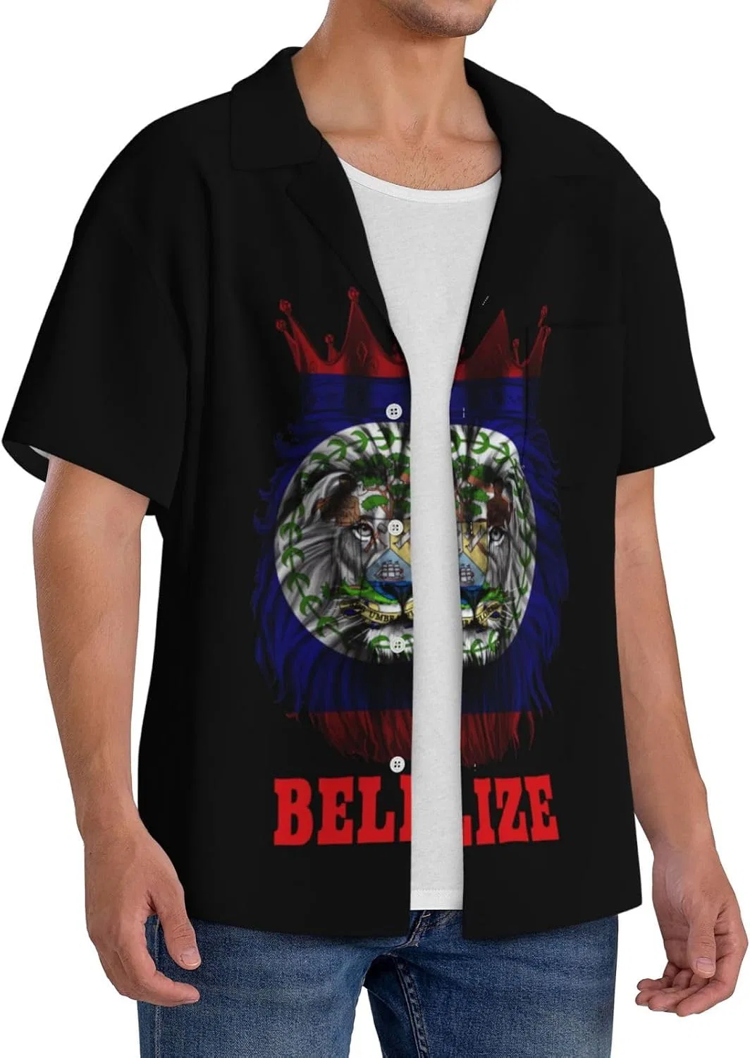 Мужская свободная рубашка с коротким рукавом King Lion Belize Flag, Black — фото 2