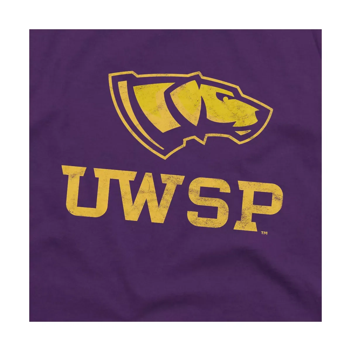 Детская футболка с принтом University Of Wisconsin Stevens Point Distressed Primary Kids T-Shirt For Youth NCAA, Purple — фото 2