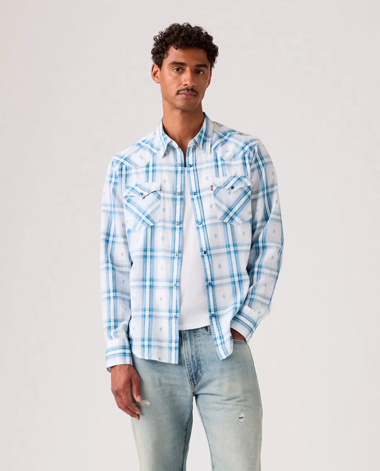 Мужская рубашка с принтом Levi's, Multicolor