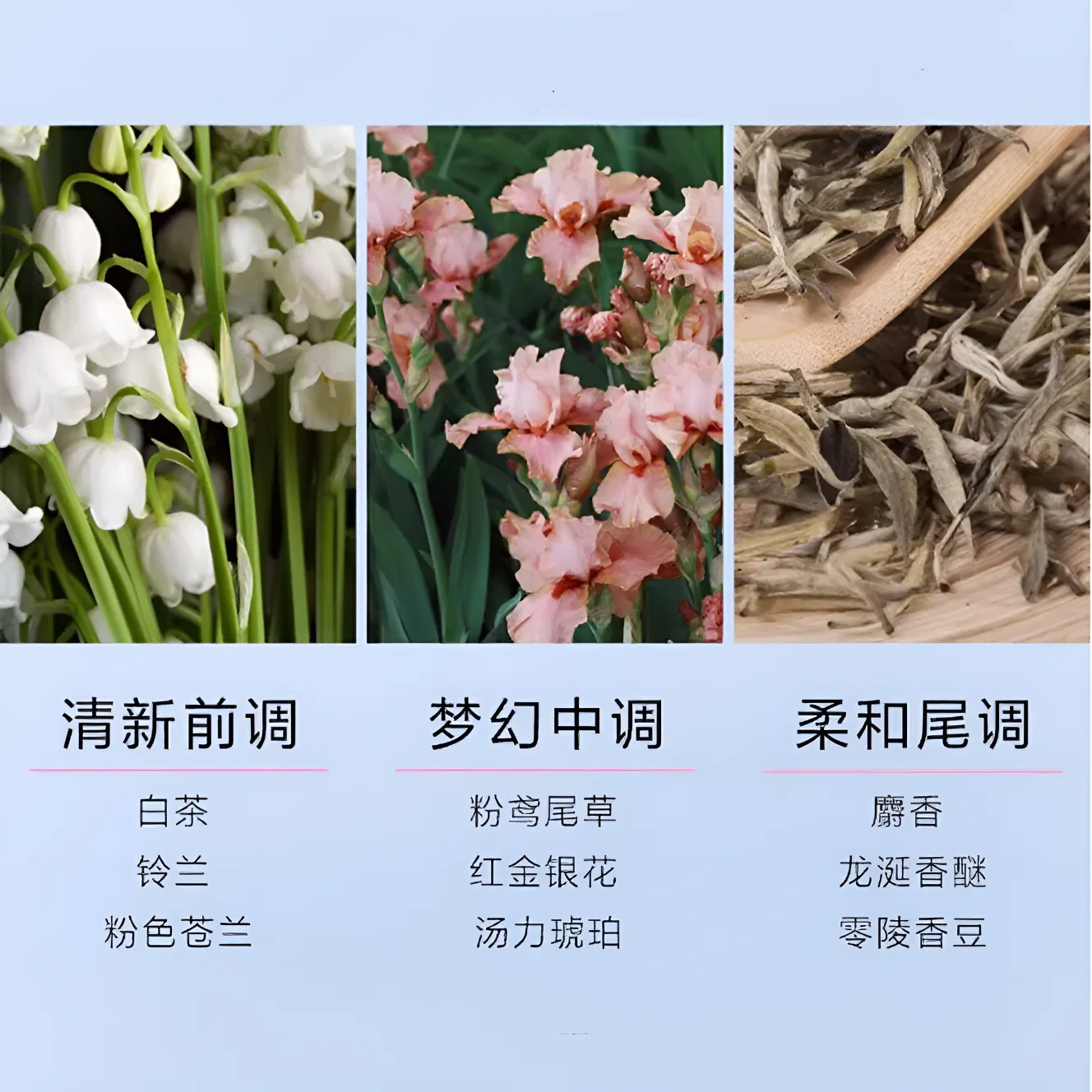 Парфюмерная вода White Tea Pink Freesia, 100 мл, Elizabeth Arden, Pink Freesia — фото 2