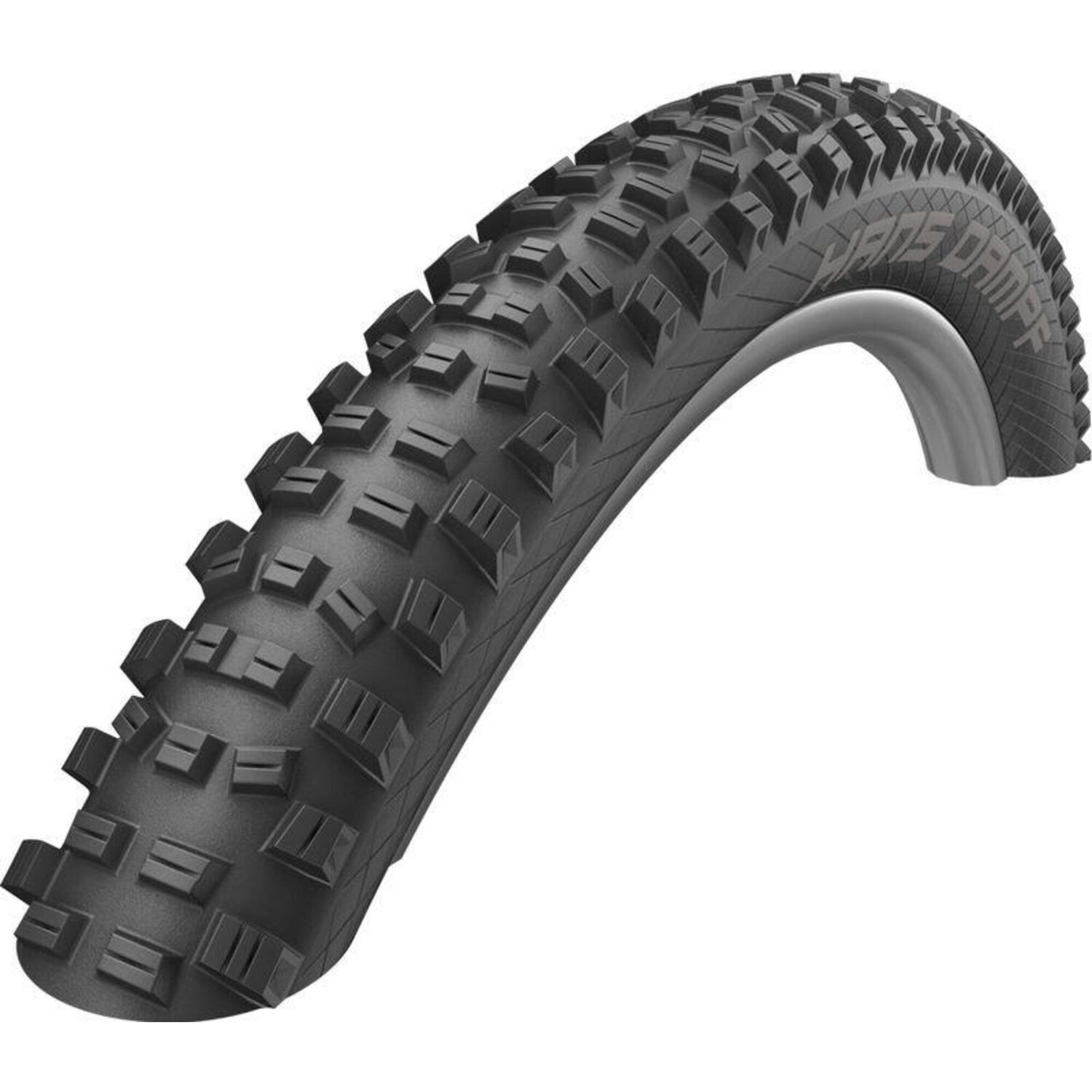 

Складные шины Hans Dampf - TL Ready - Addix Performance SCHWALBE, черный черный