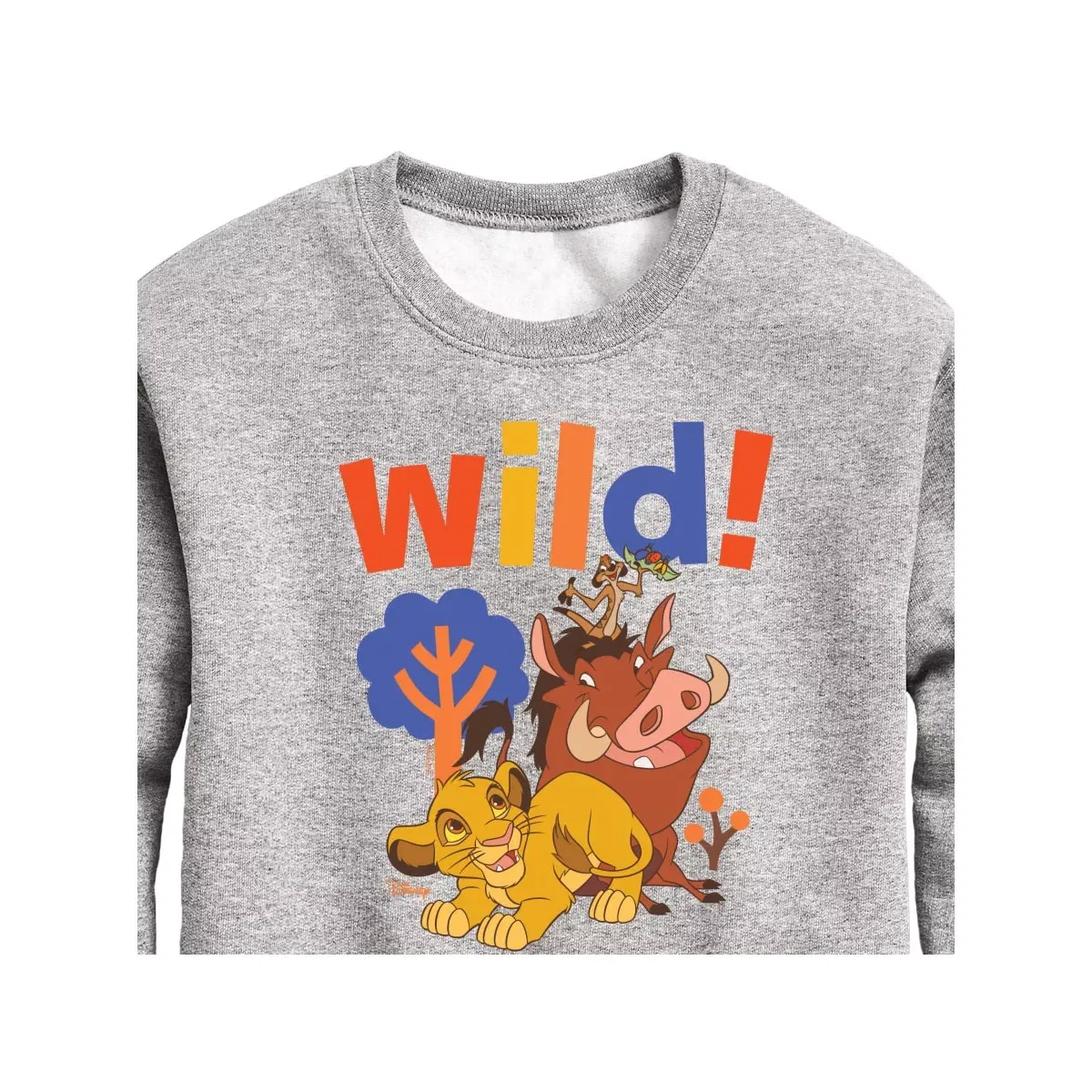 Детский свитшот с принтом Wild! Disney Athletic Heather — фото 2