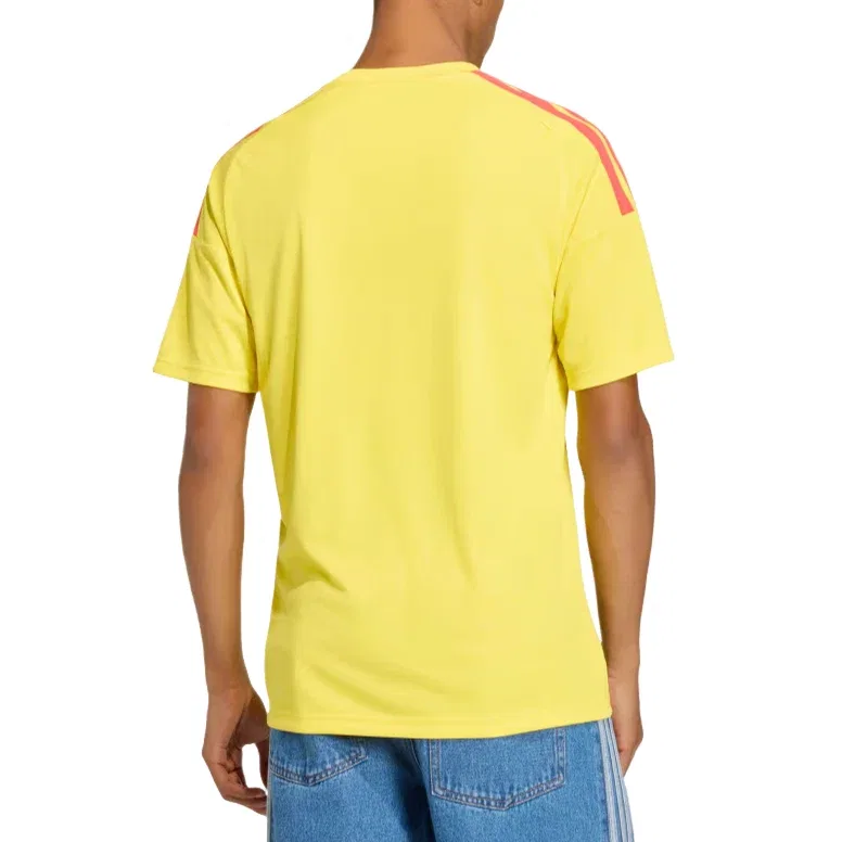 Мужская футболка с коротким рукавом Adidas Colombia 26 Home Fan Jersey, желтый — фото 4