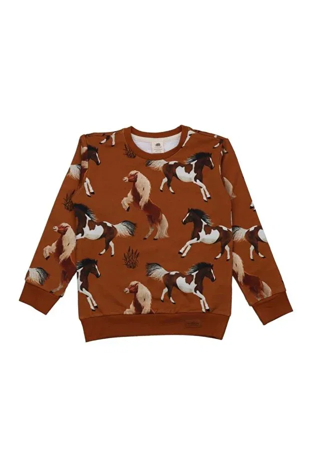 Детские свитшот для девочек с принтом Cheerful Horses Patterned Organic Kids Sweatshirt Walkiddy, Brown
