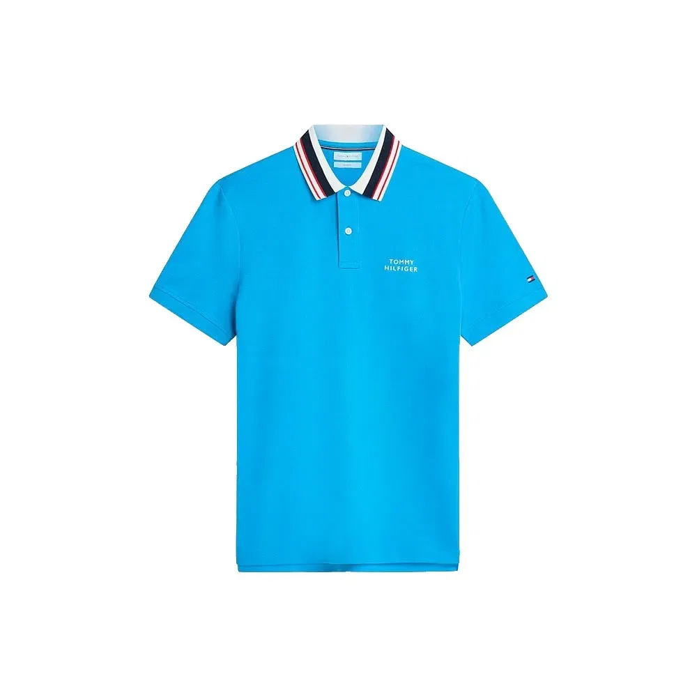 Мужское поло обычного кроя с графическим принтом Tommy hilfiger, Blue