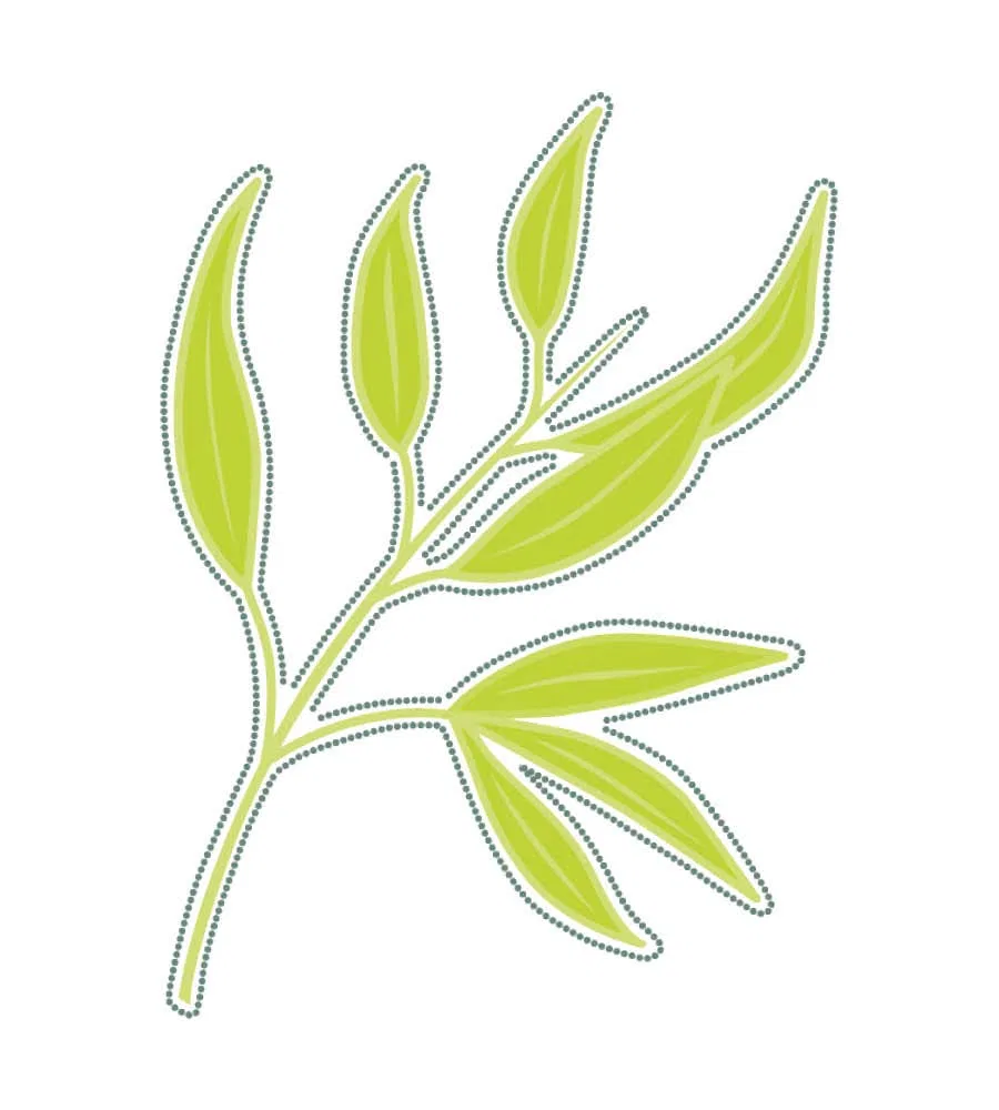 Масло для тела Botanical Body Oil, Outback Organics, 100 мл, Green Tea No — фото 4