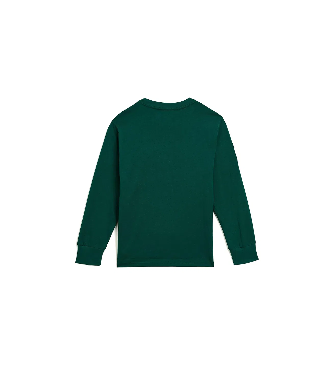 Хлопковый лонгслив с большим логотипом пони (для больших детей) Big Pony Cotton Long Sleeve Tee (Big Kid) Polo Ralph Lauren Kids, Hunter Green — фото 2